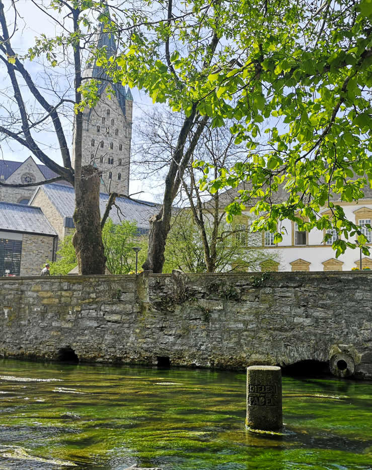 Landschaftsbild mit dem Paderborner Dom im Hintergrund